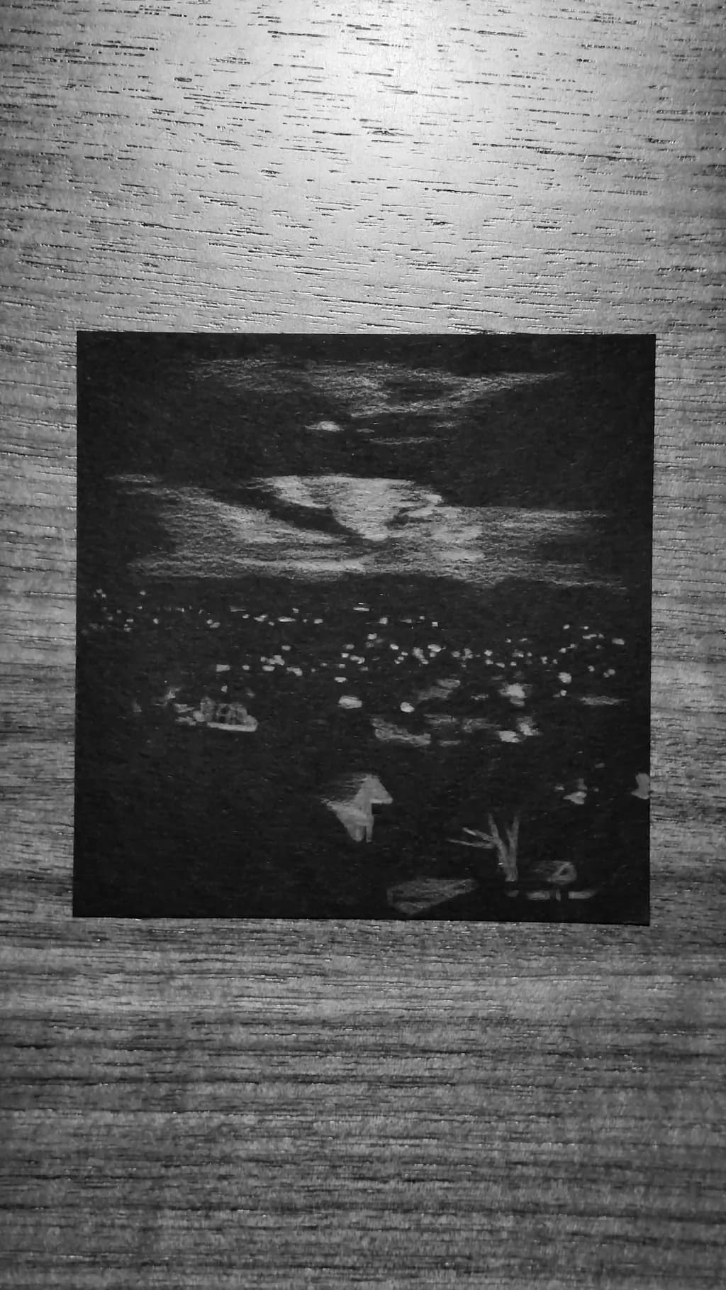 Whispers of the Night: A Serene Landscape in Monochrome