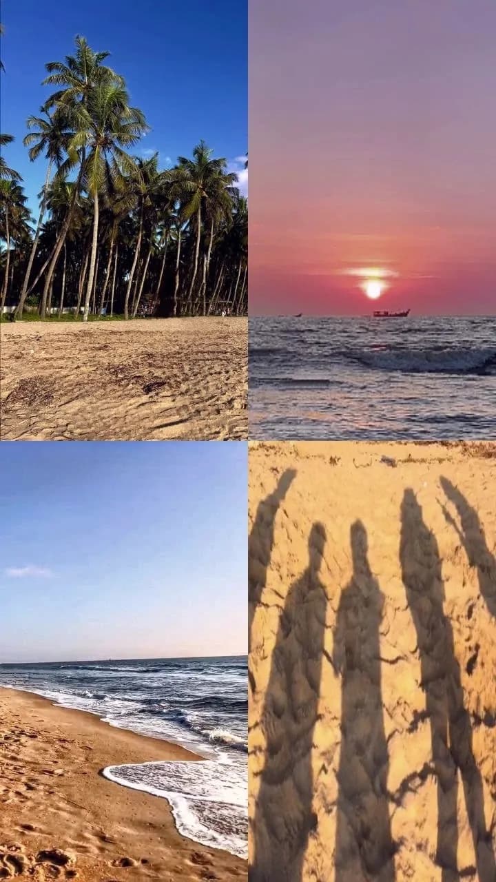 Tropical Serenity: A Sunset Journey Through Sandy Shores and Silhouetted Memories