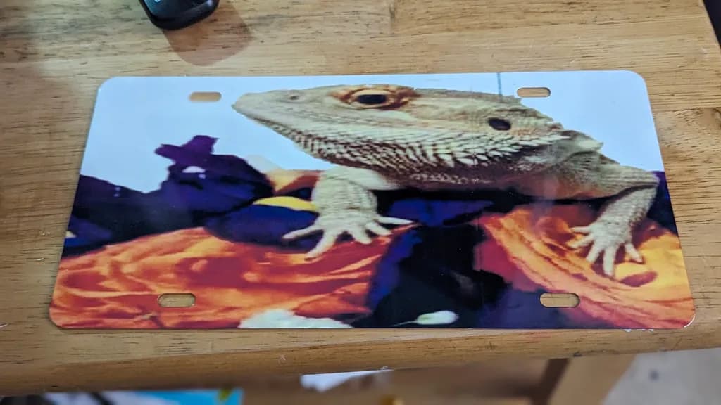 Lizard Majesty: A Vibrant Portrait of Nature's Reptilian Wonder