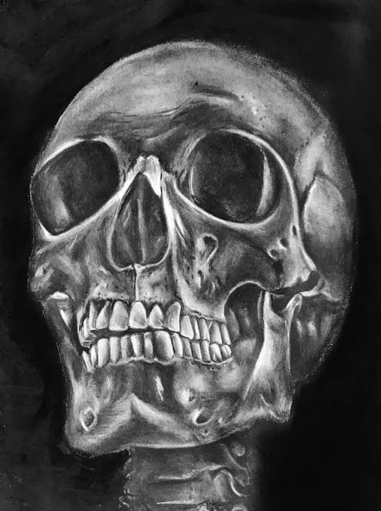 Ethereal Echoes: A Monochrome Study of the Human Skull