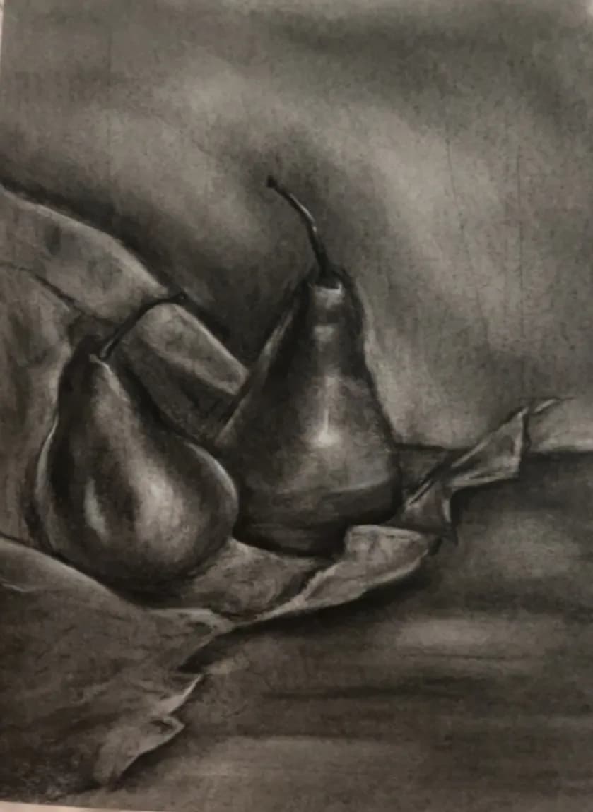 Whispers of Nature: A Charcoal Still Life of Pears on Fabric