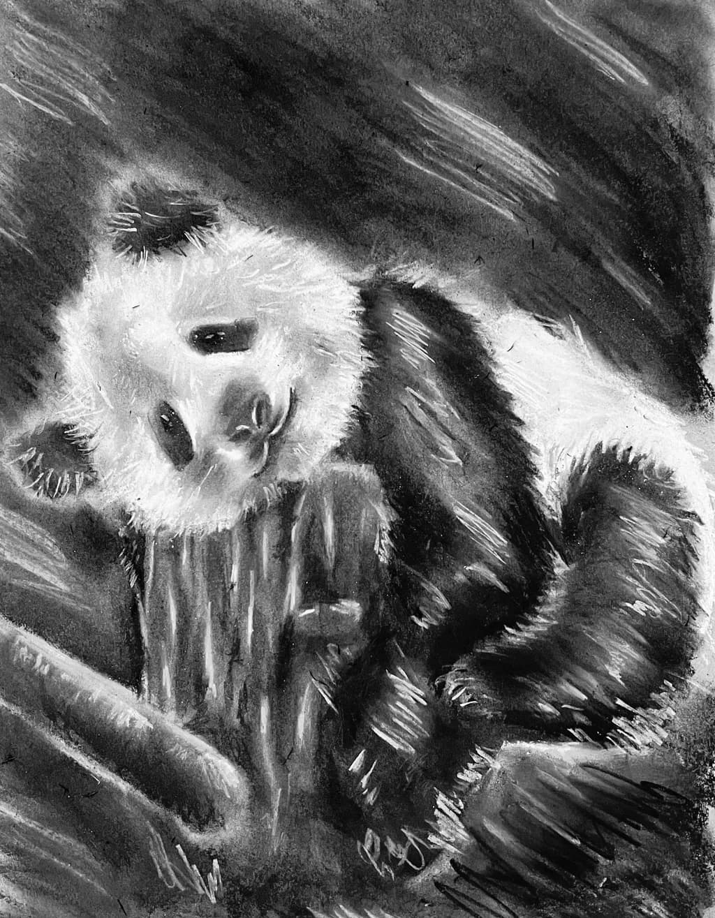 Whimsical Panda Dreams: A Monochrome Portrait of Playfulness and Serenity