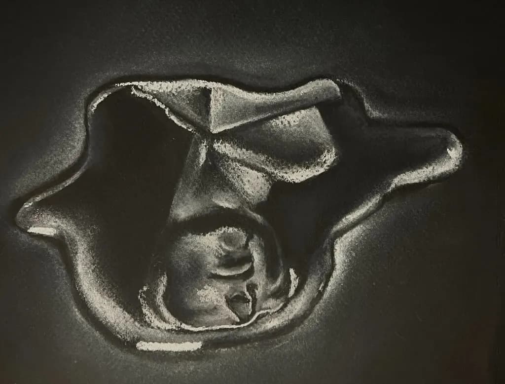 Whispers of Form: A Monochromatic Exploration of Human Emotion