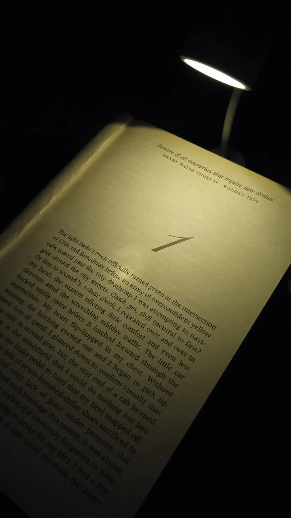 Illuminated Pages: A Journey Through Words and Shadows