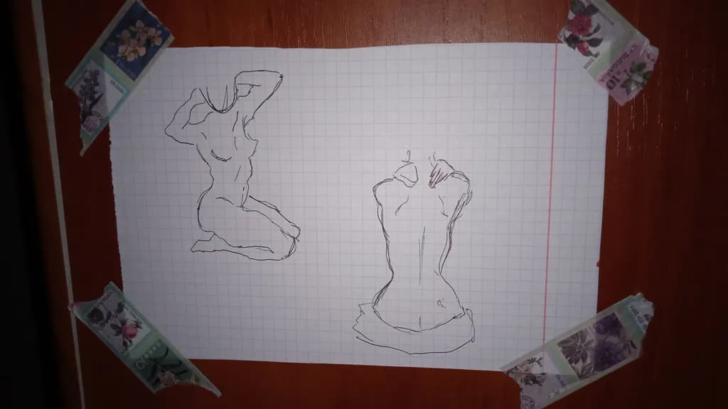 Elegant Contours: A Minimalist Study of the Human Form