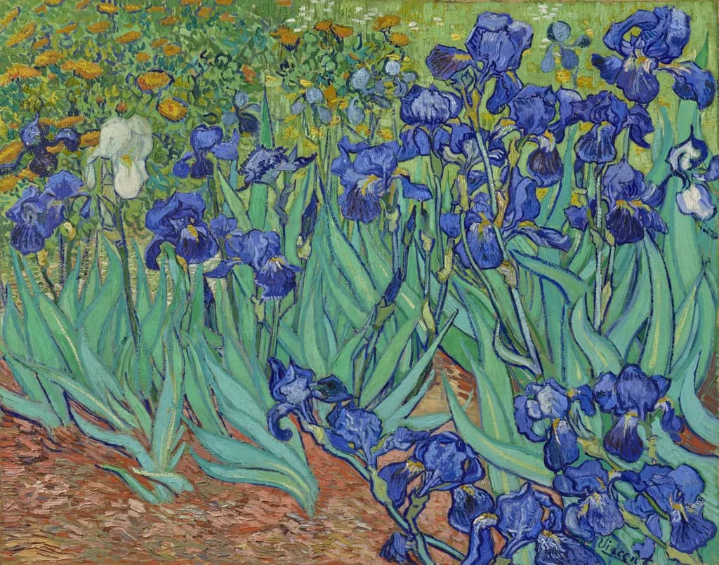 Whispers of Blue: A Dance of Irises in Bloom