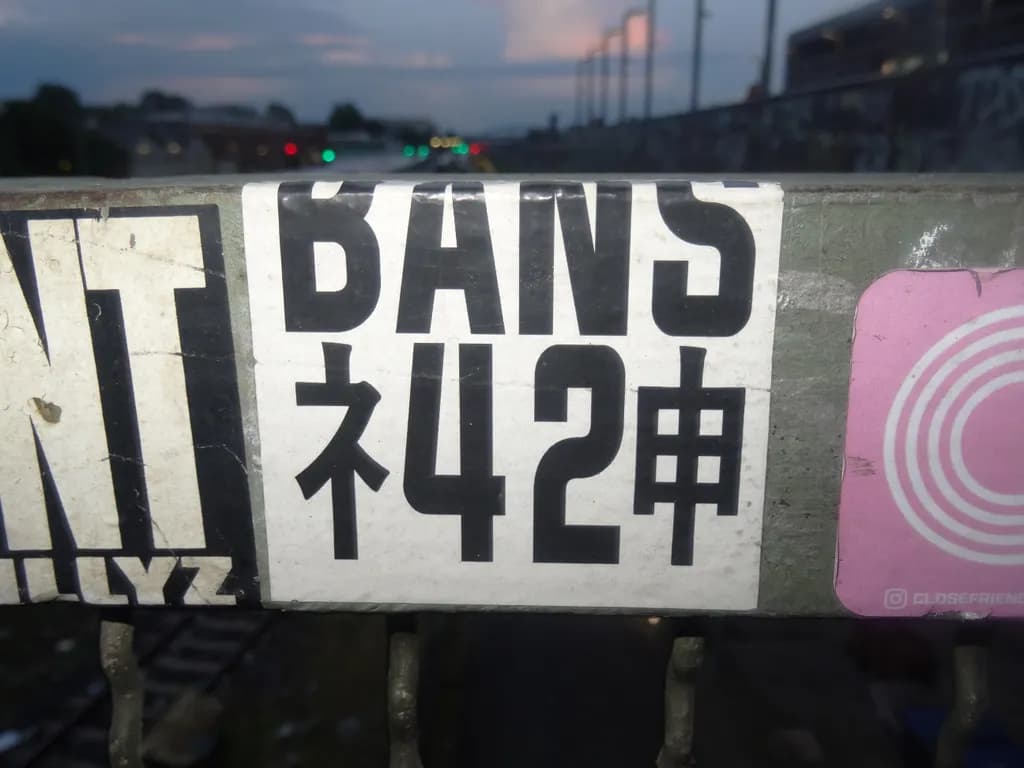 Urban Echoes: The Art of Street Identity and Expression in a Fragmented World