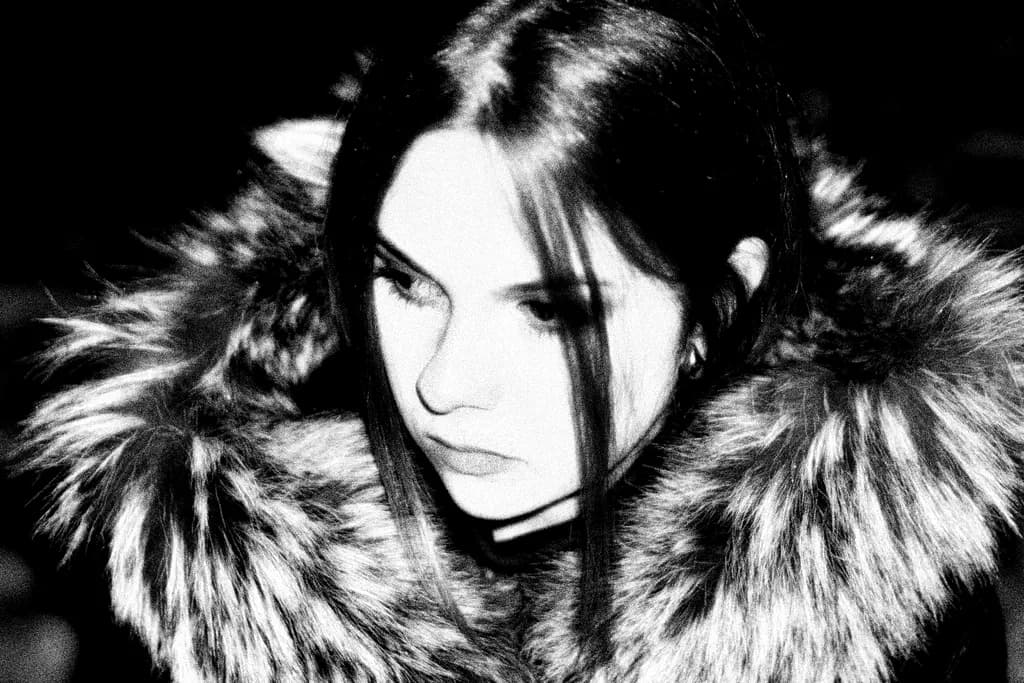 Whispers of Winter: A Portrait in Shadows and Fur