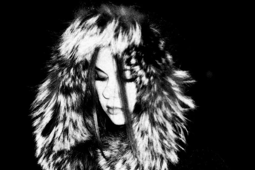 Whispers of Winter: A Portrait in Shadows and Fur