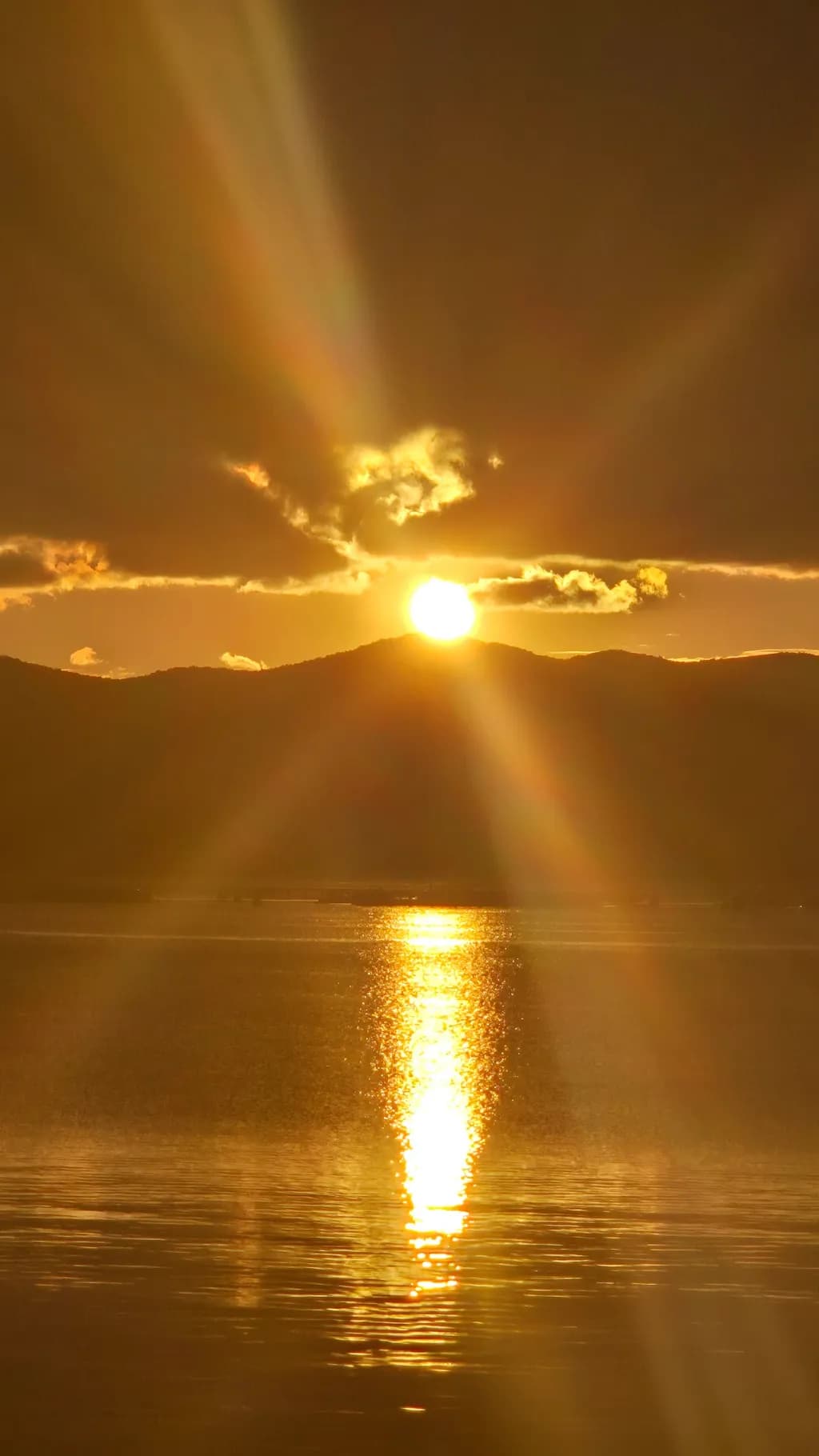 Golden Reflection