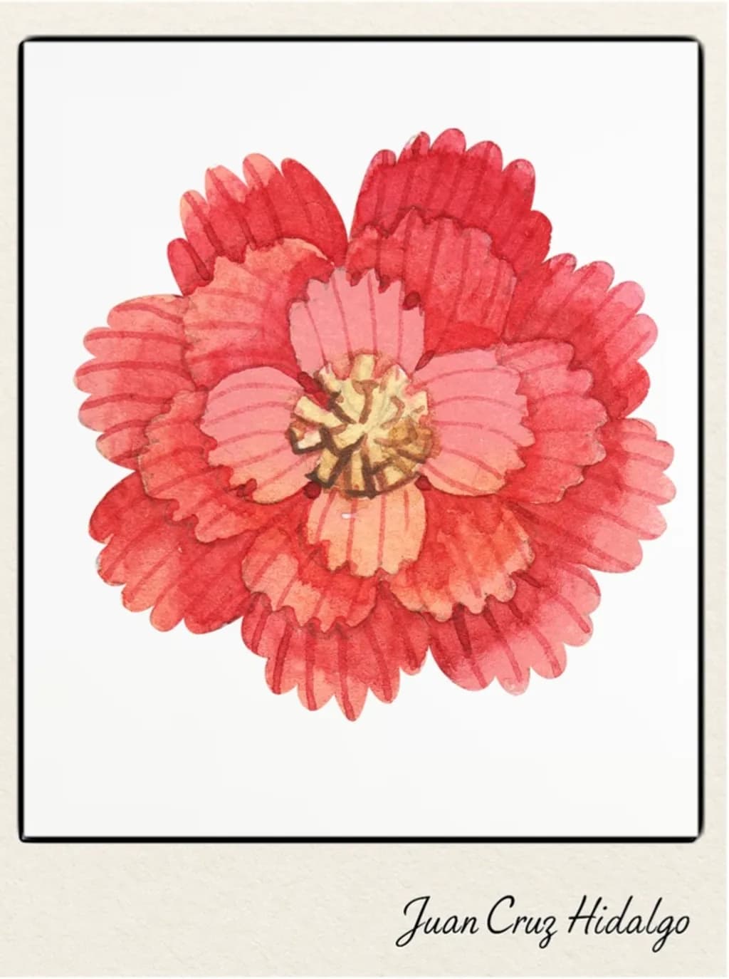 Crimson Bloom