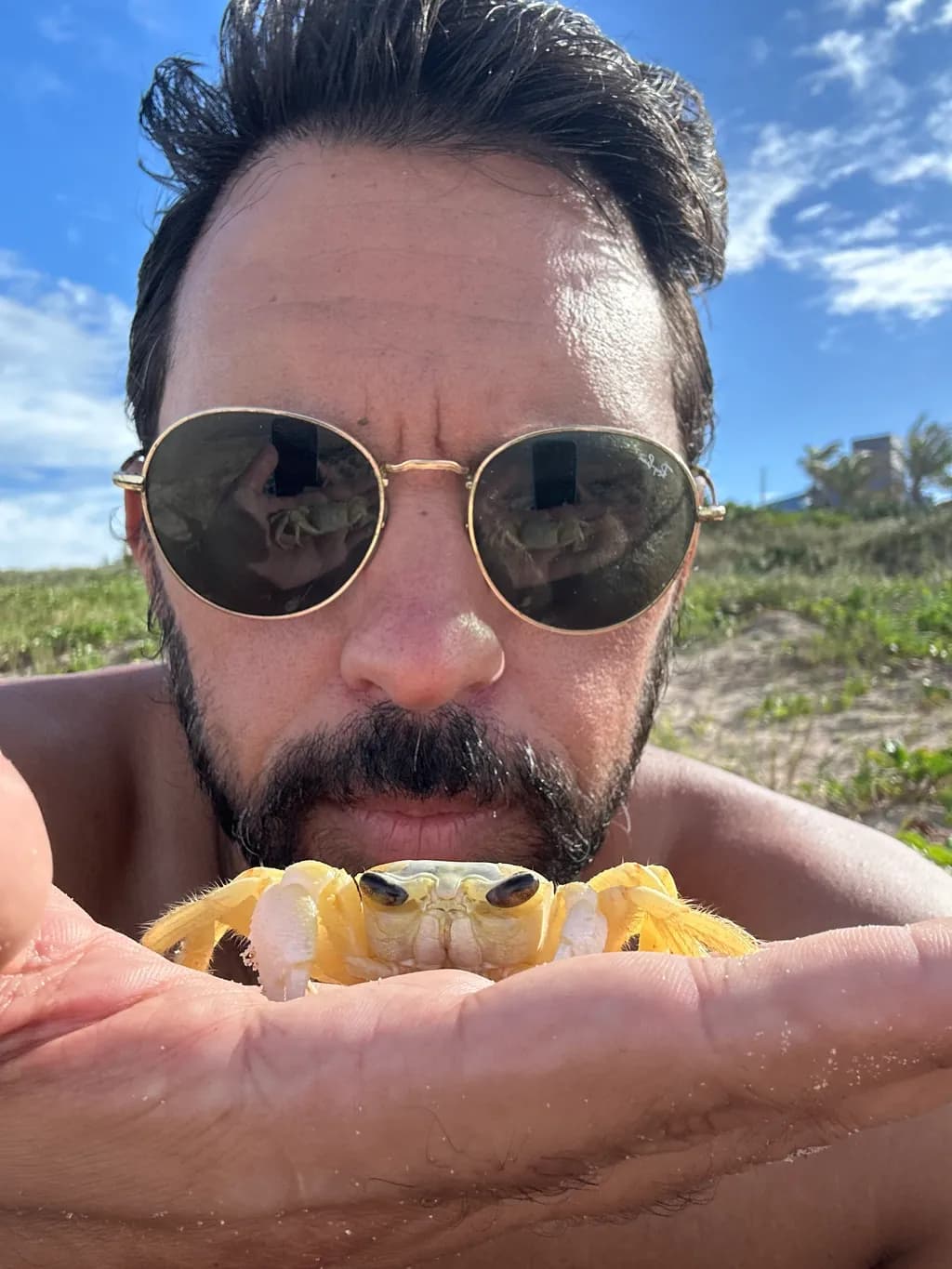 Sunglass Reflection Crab