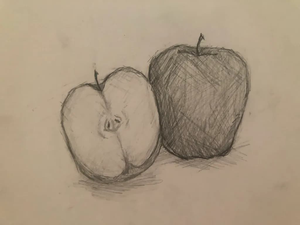 Whispers of Nature: A Charcoal Study of Two Apples