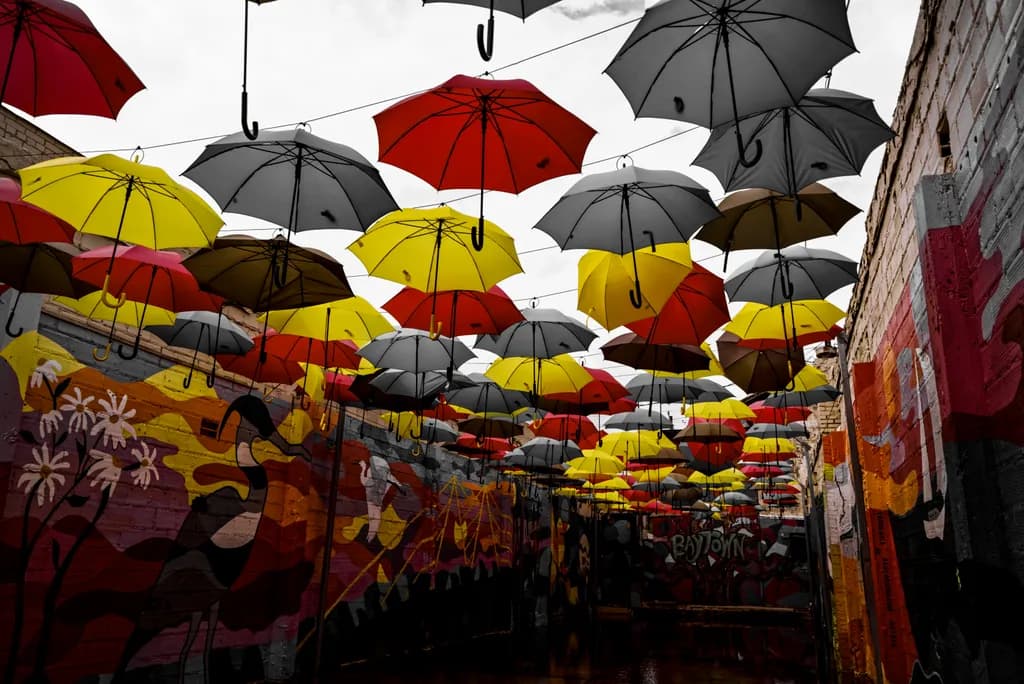  Embracing the Rain