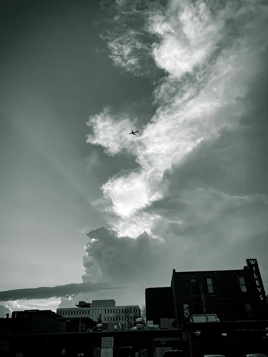 "Flight of Emotion"