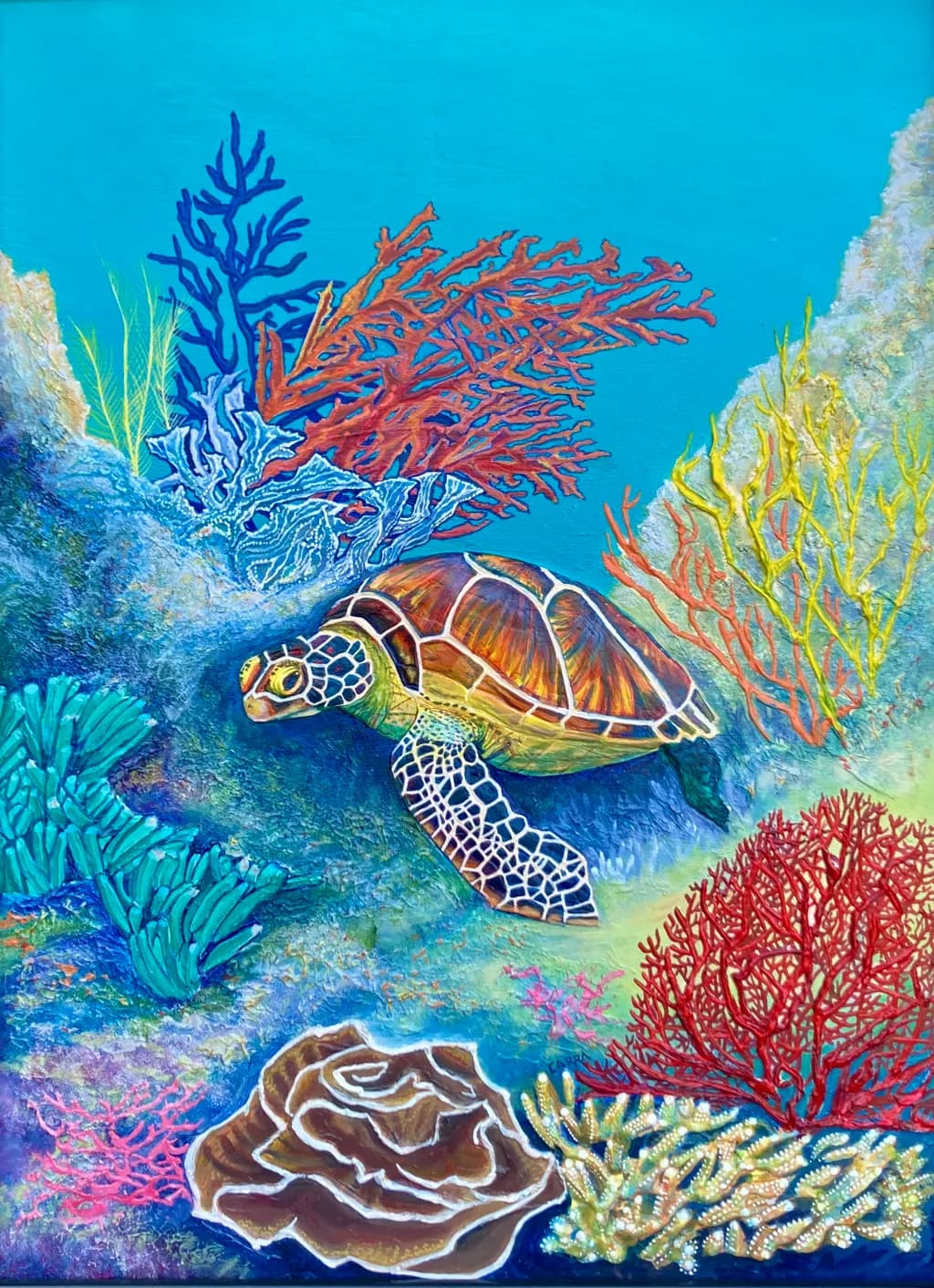 Coral Reef Turtle