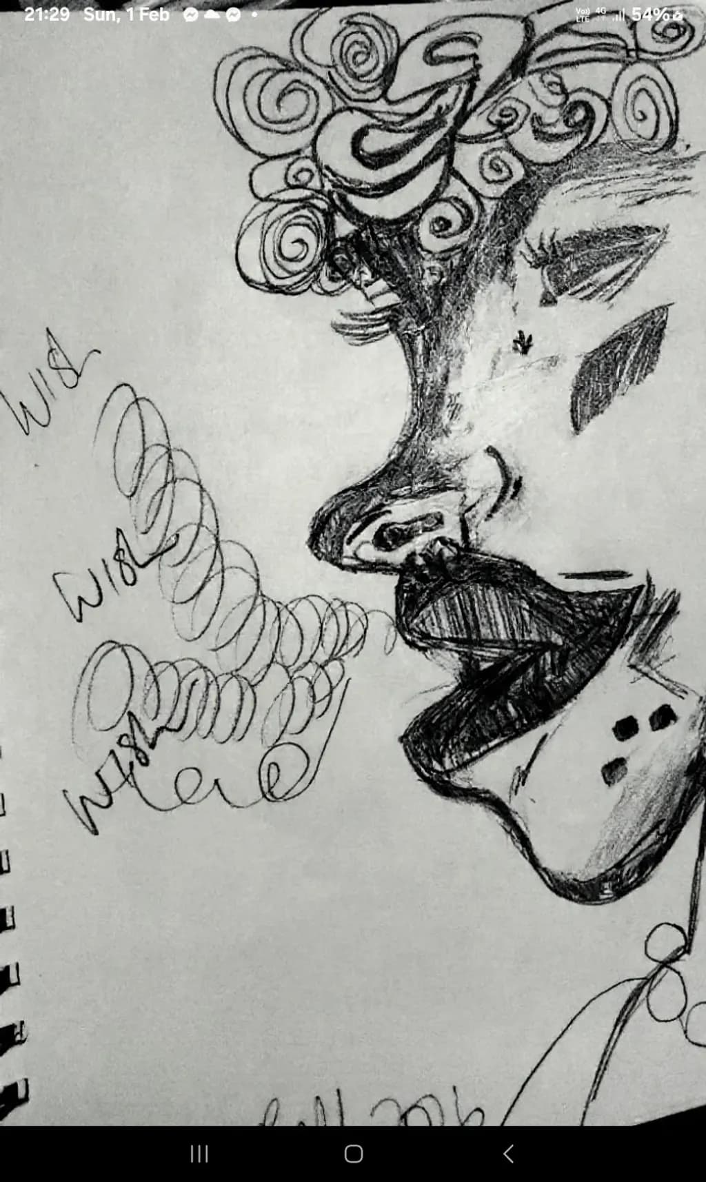 Wild Expressions