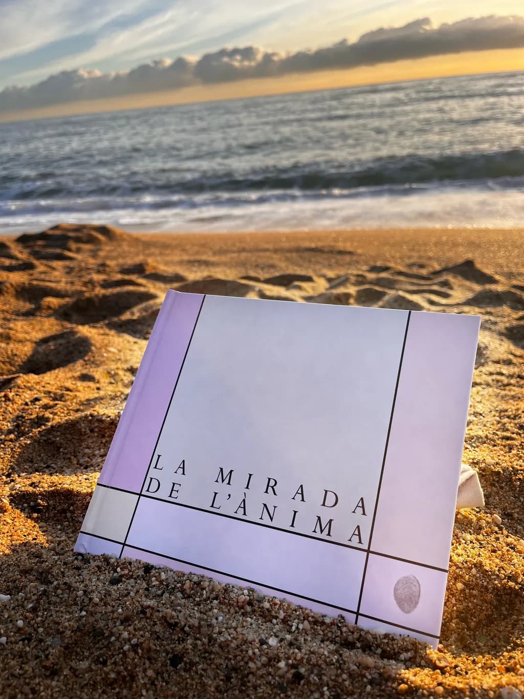 Whispers of the Sea: A Book's Journey Through Sunset Sands