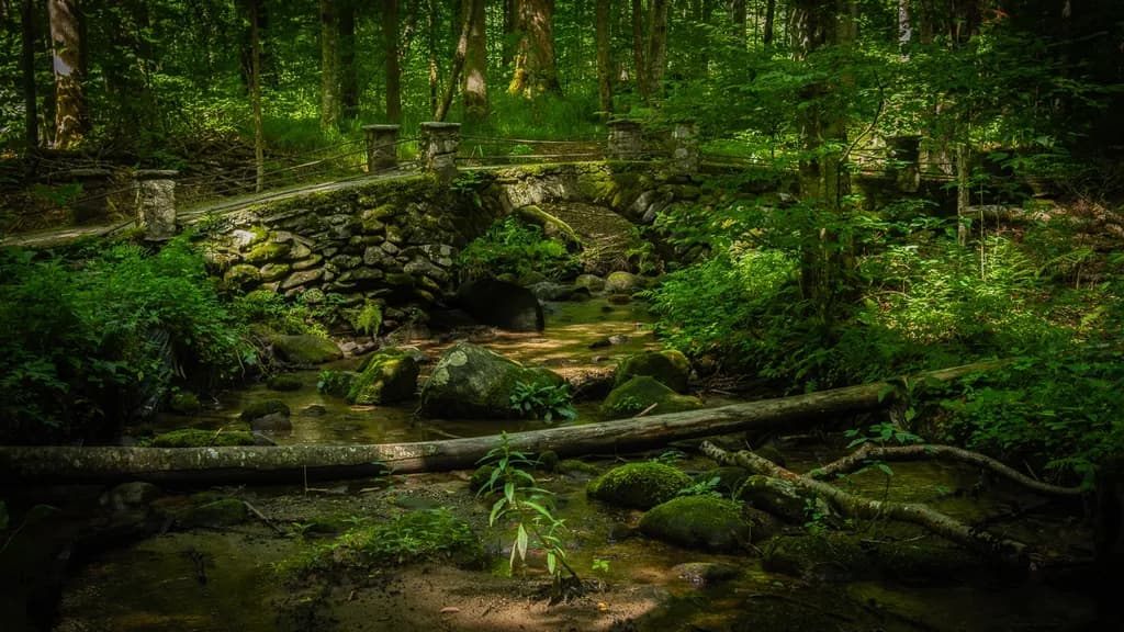 Fairy Bridge