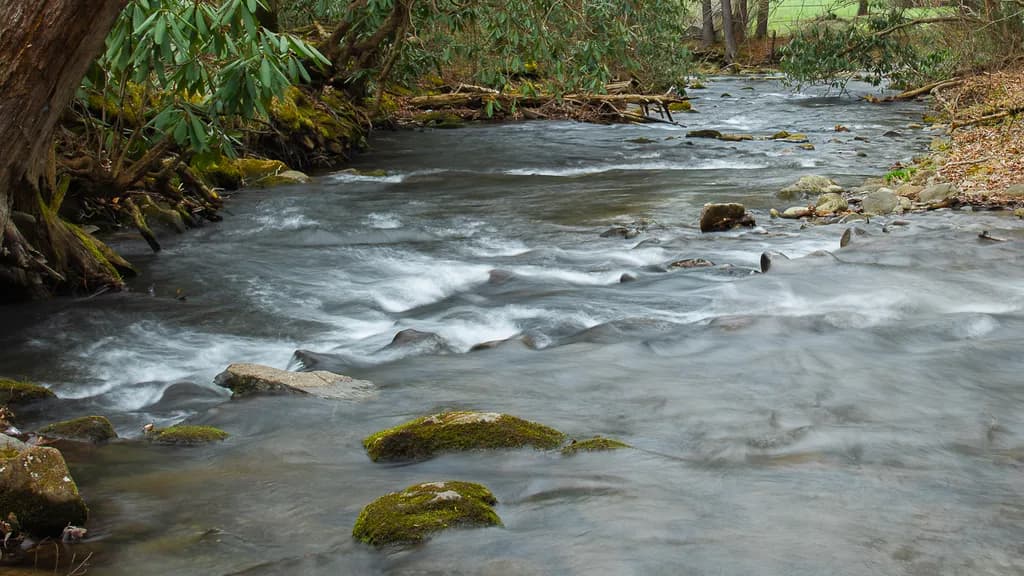 Wandering Waters