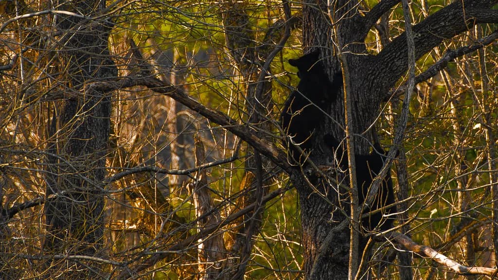 Watching the Sun Go Down