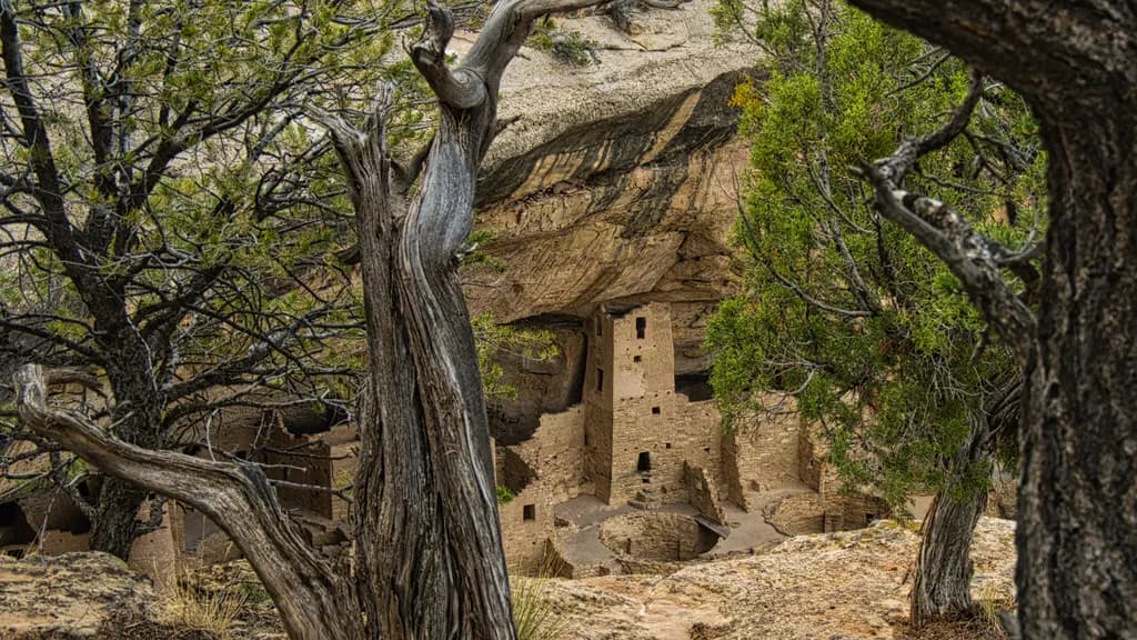 Cliff Palace Mesa Verde