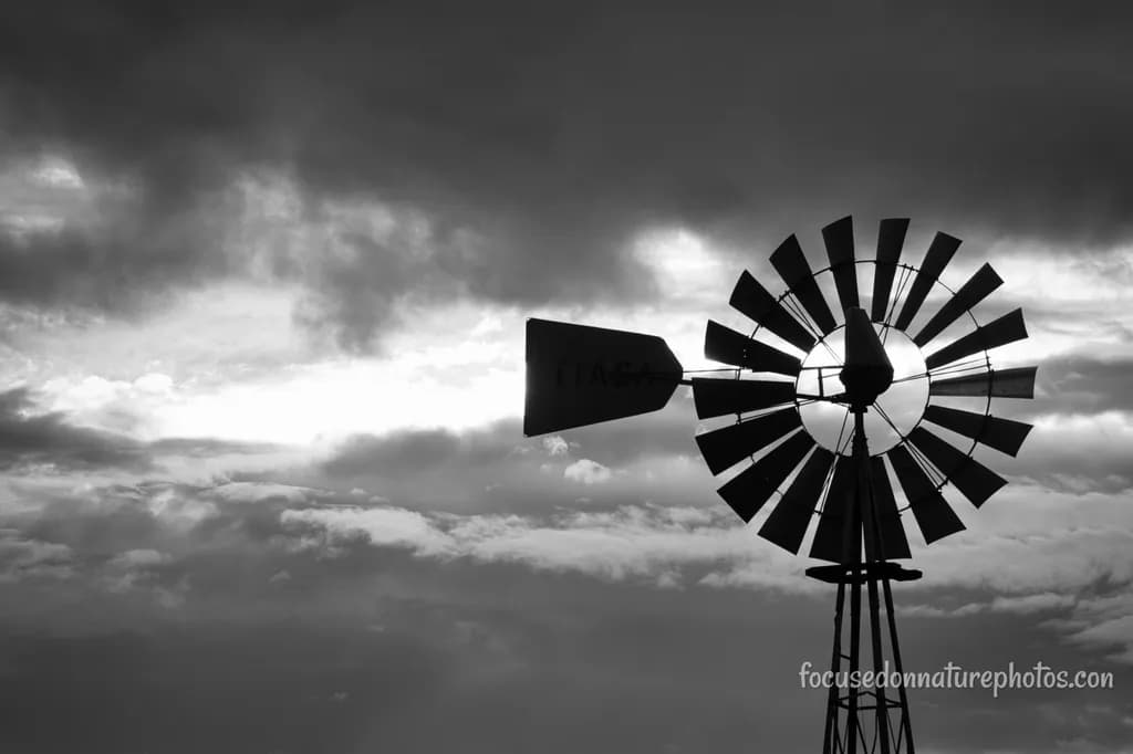 Tarrant Windmill
