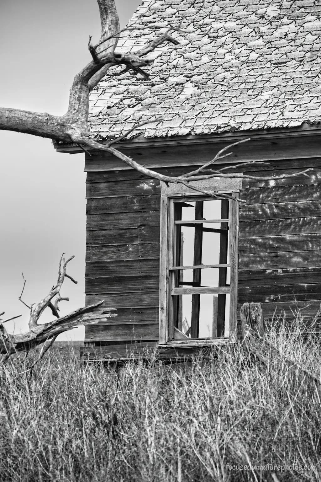 Abandoned Frame