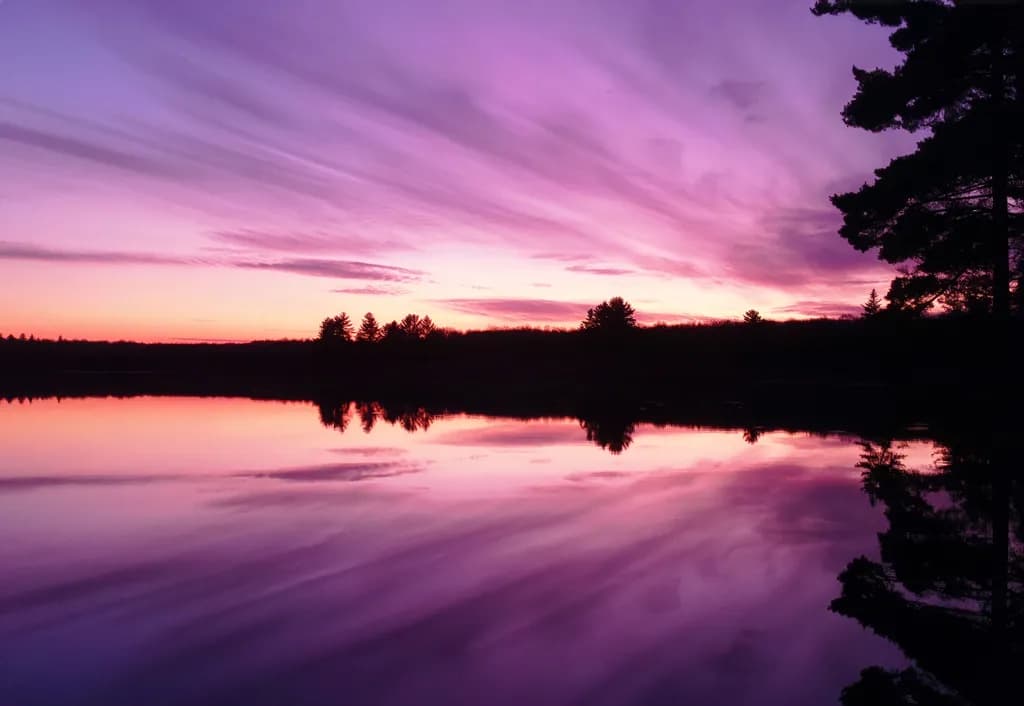 Twilight Tapestrie
