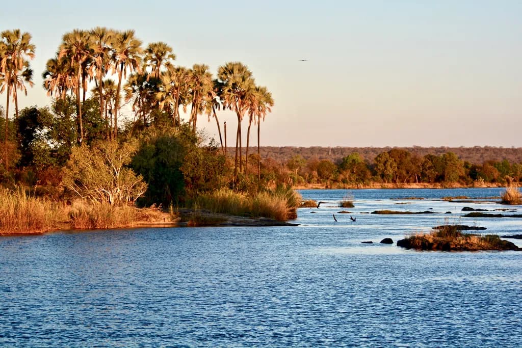 Serenity by the Water: A Tranquil Evening with Palm Trees and Gentle Ripples