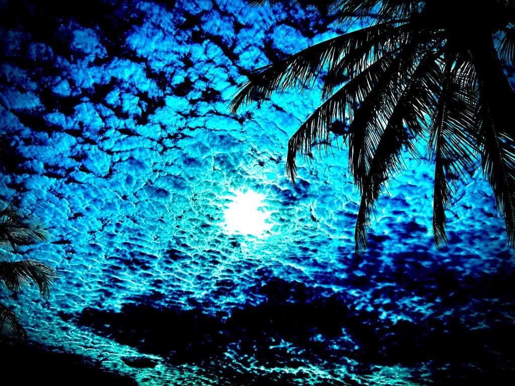Tropical Sky Burst
