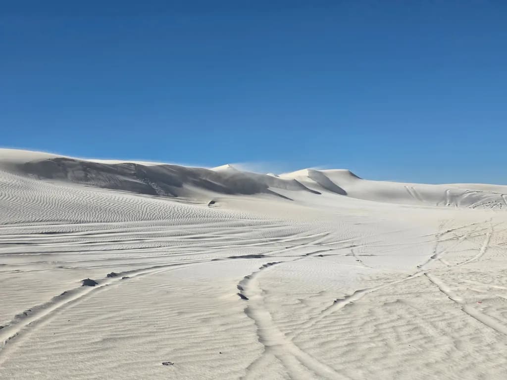 Desert Tracks