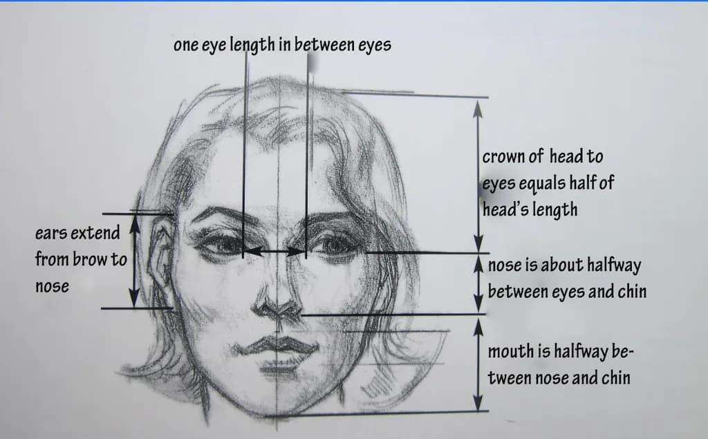 Proportions of the Human Face: A Guide to Facial Anatomy and Symmetry