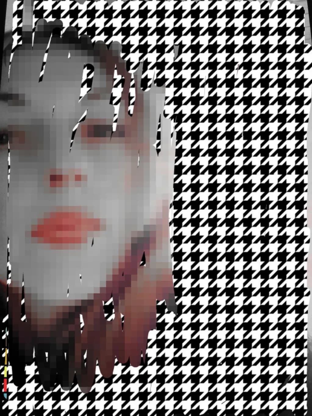 Monochrome Distortion: An Abstract Expression of Identity and Pattern