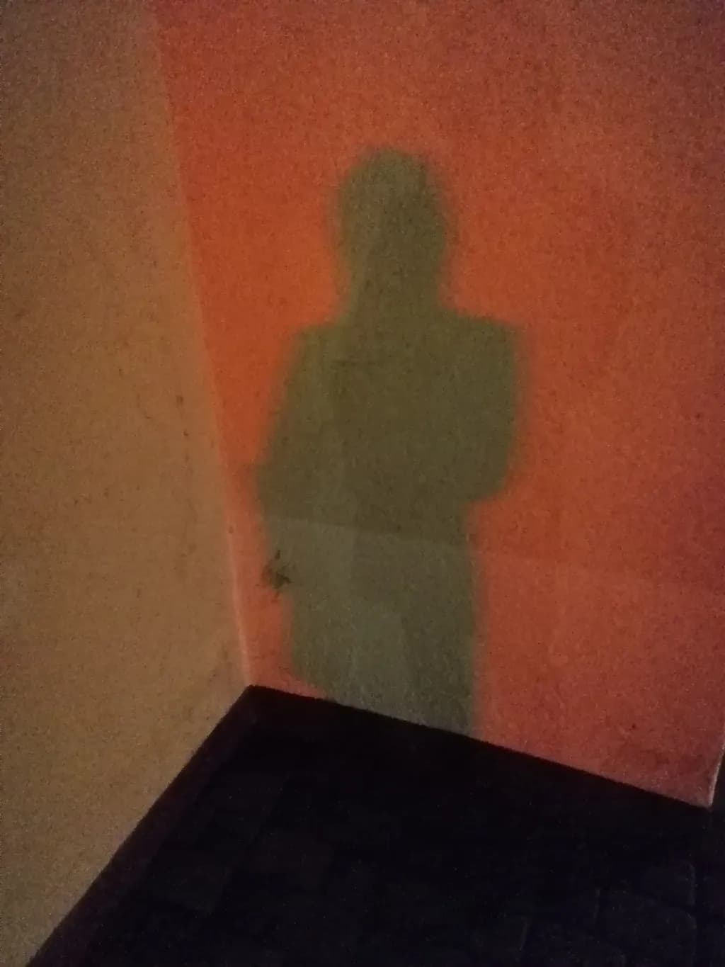 Whispers of Shadow: A Play of Light and Color in an Intimate Corner