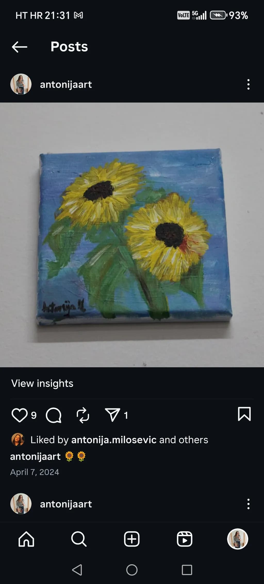Sunlit Serenity: A Vibrant Duo of Sunflowers in Bloom