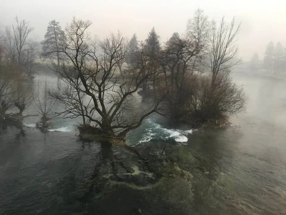 Whispers of Mist: A Serene River Landscape at Dawn