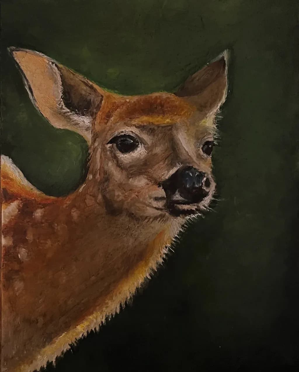 Whispers of the Forest: A Captivating Portrait of a Young Deer