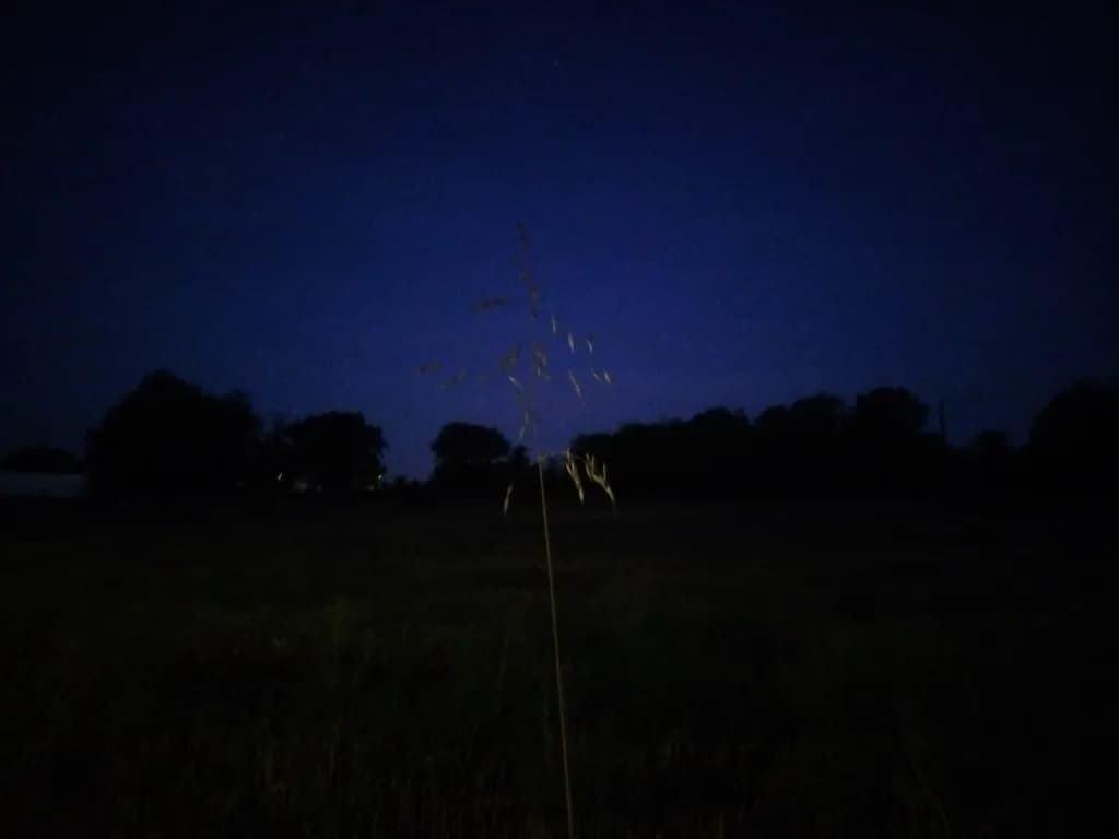 Whispers of the Night: A Serene Landscape Under the Tranquil Sky