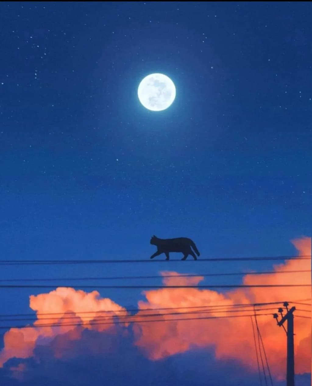 Moonlit Whiskers: A Cat's Journey Across the Twilight Sky