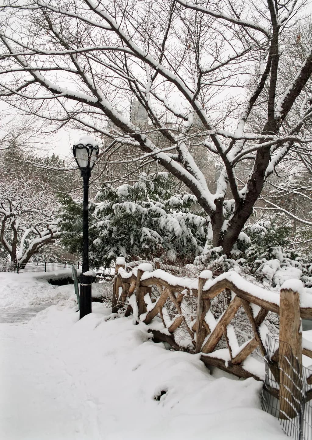 Snowy Pathway