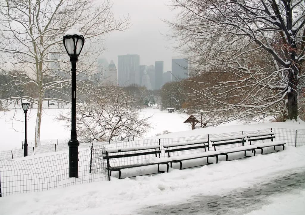 Winter's Embrace