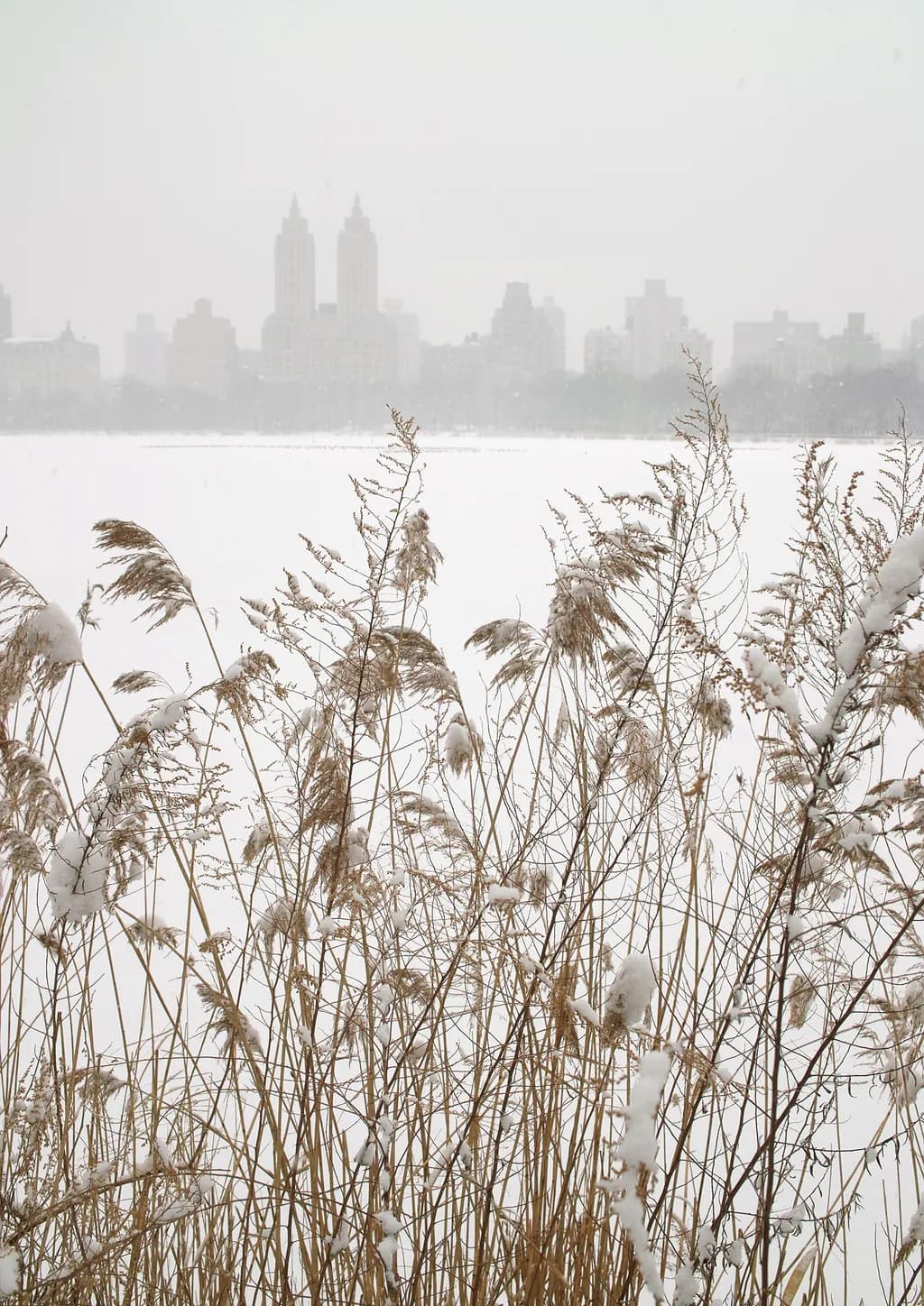 Snowy Cityscape