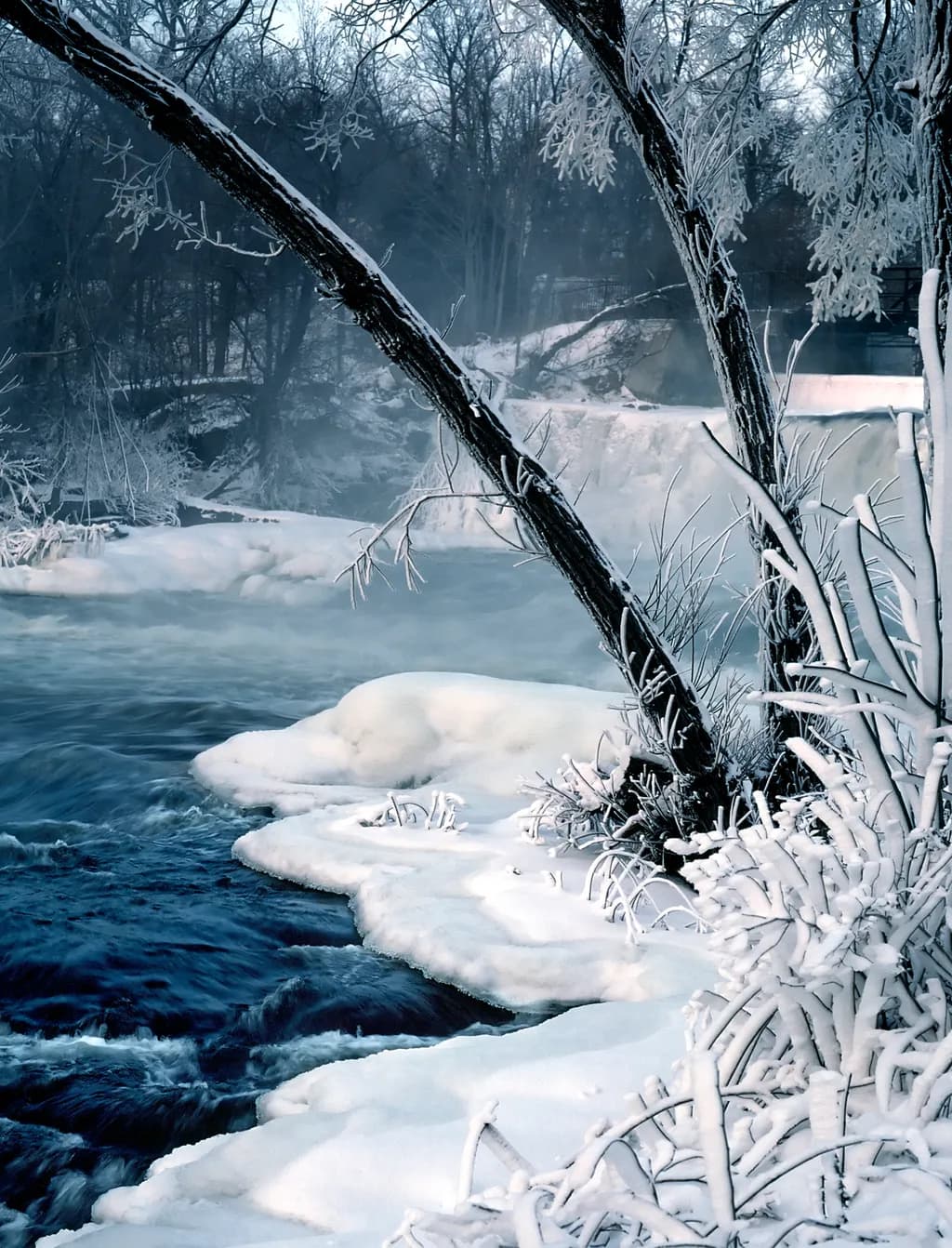Frozen Ontario Stream