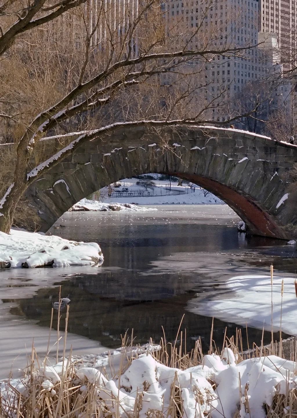 Winter Bridge Reflection