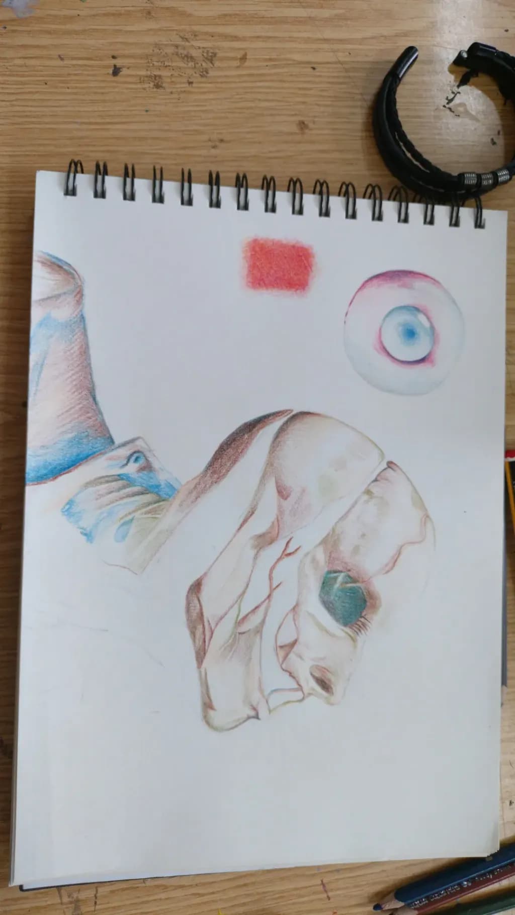 Whispers of Life: A Colorful Exploration of Anatomy and Perception