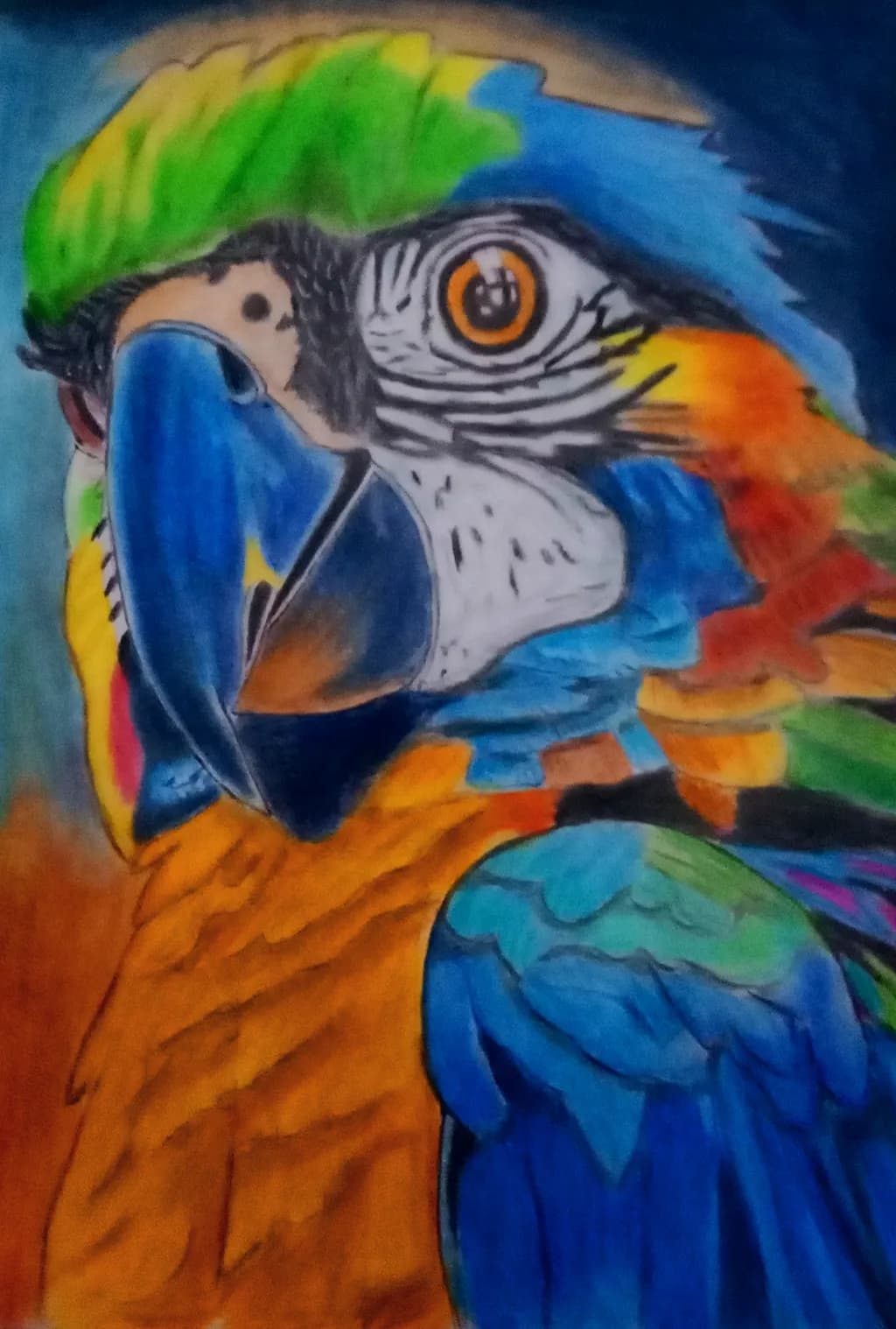 Vibrant Parrot Portrait: A Colorful Celebration of Nature's Beauty