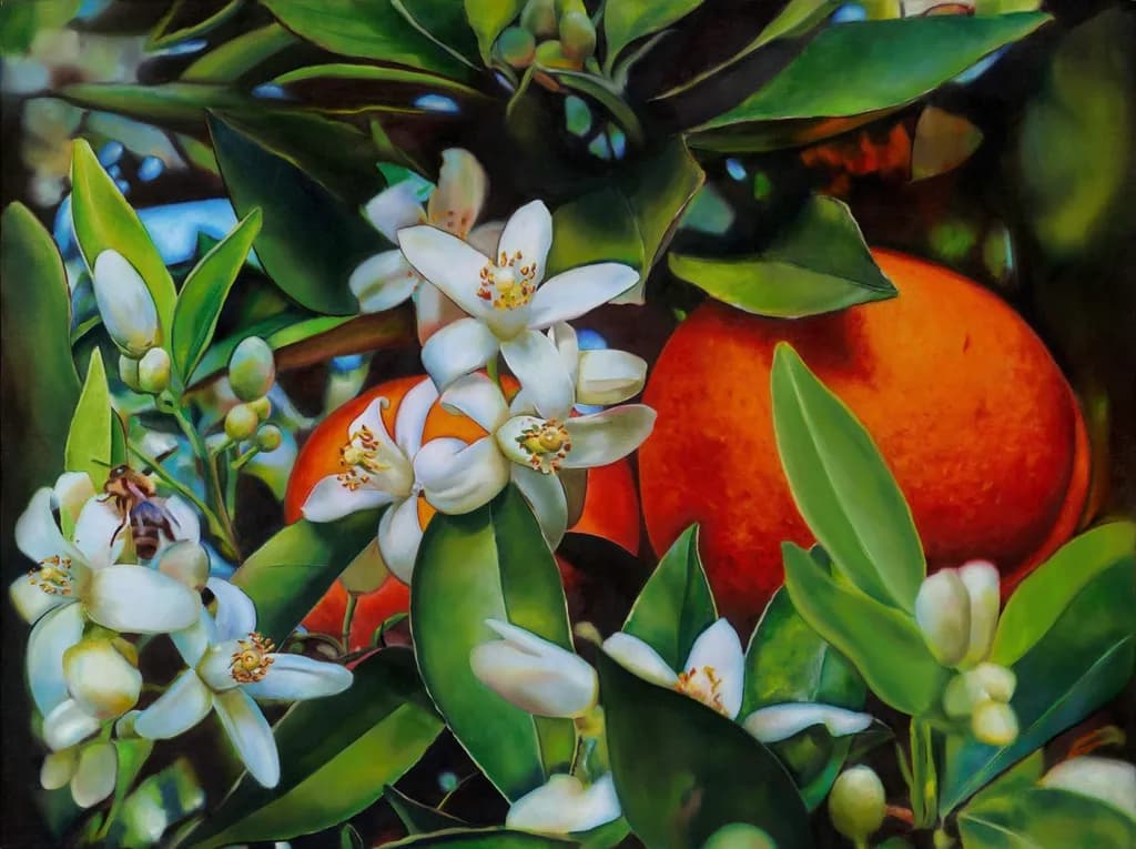 Citrus Bloom