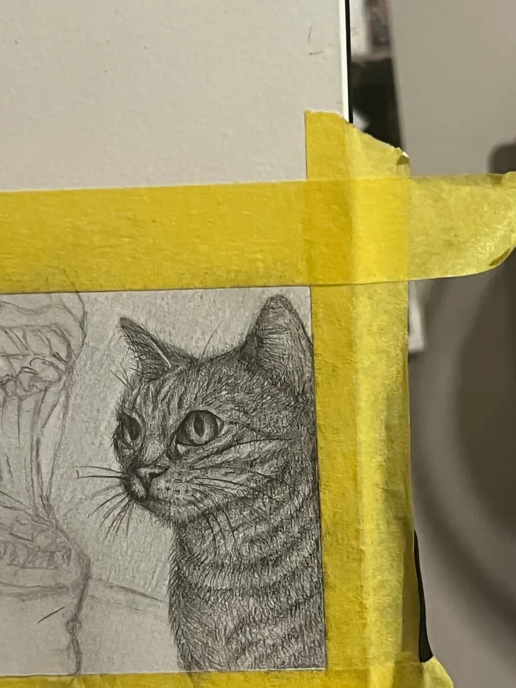 Whiskered Whimsy: A Detailed Portrait of a Cat in Pencil Sketch Form