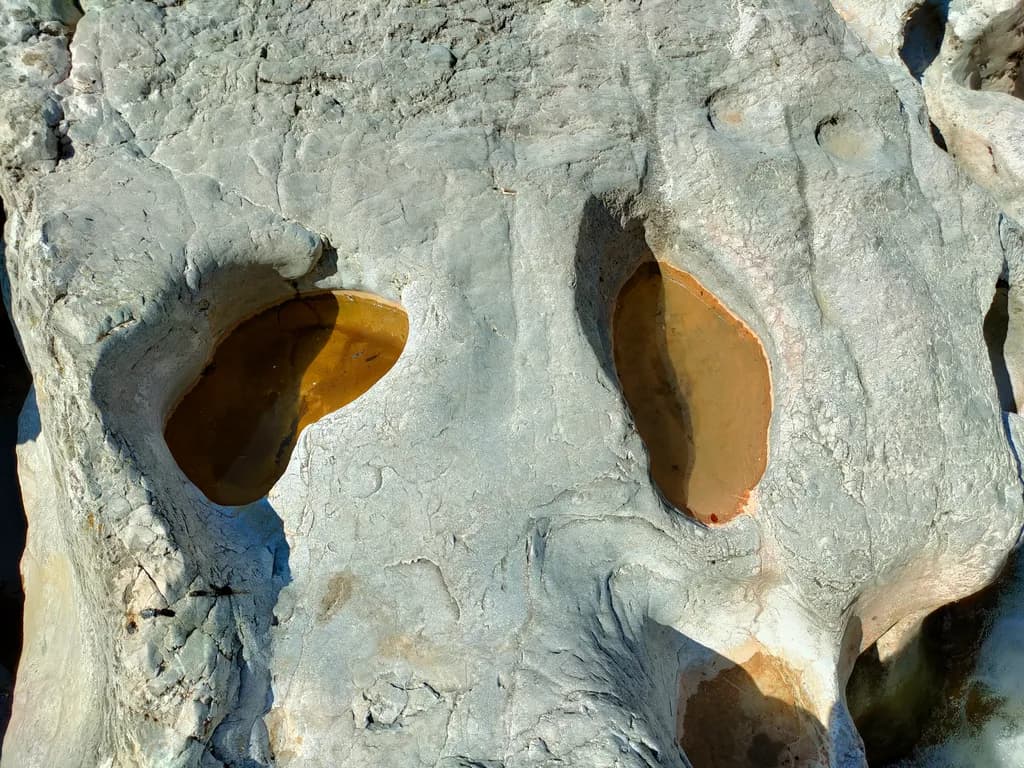 Cave with Tree